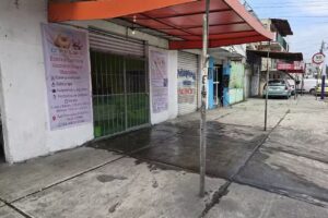 D PELOS ESTETICA CANINA