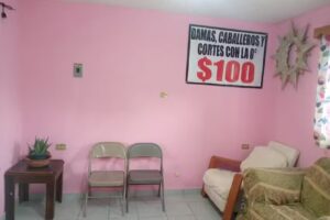 Dalia Rub&iacute; Peluquera