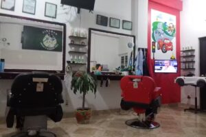 Damaris Lady Barber & salón