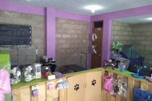 Deka pets Peluquería Canina Profesional