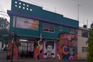 Depilaciones el espacio de Frida