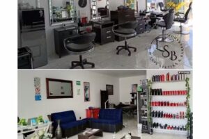 DLuis Stetika y Barber&iacute;a