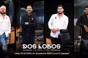 Dos Lobos | Acueducto