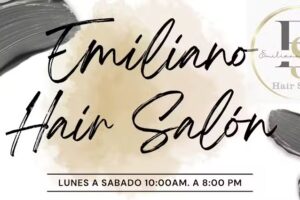 𝑬𝒎𝒊𝒍𝒊𝒂𝒏𝒐 𝑯𝒂𝒊𝒓 𝑺𝒂𝒍𝒐𝒏