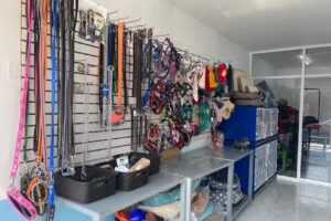 Est&eacute;tica & accesorios Bulldog