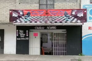 Est&eacute;tica Acuario