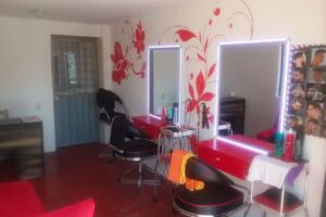 Est&eacute;tica Adelita