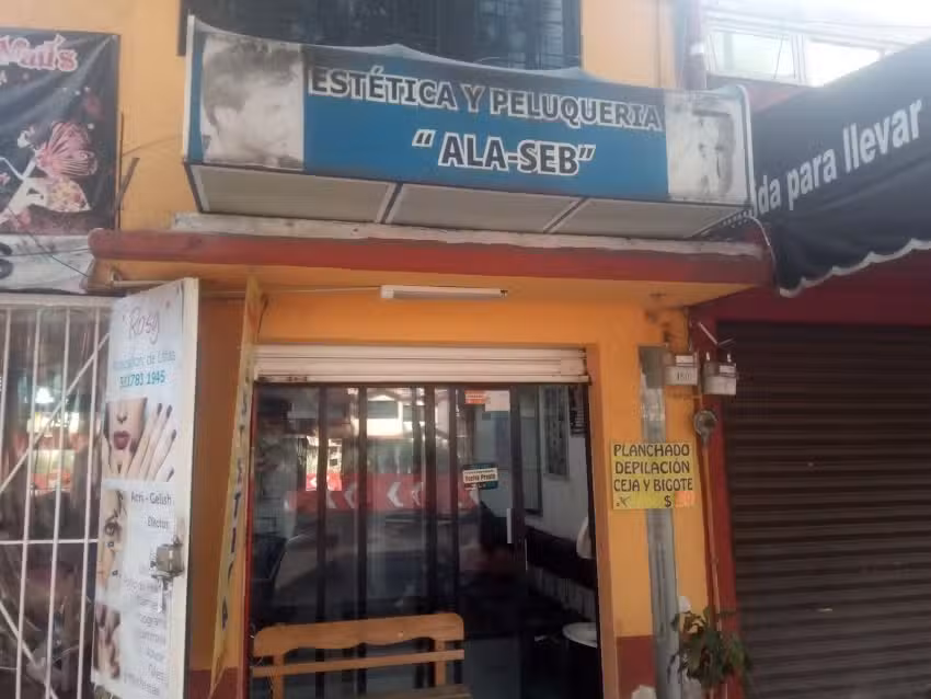 estetica ala seb