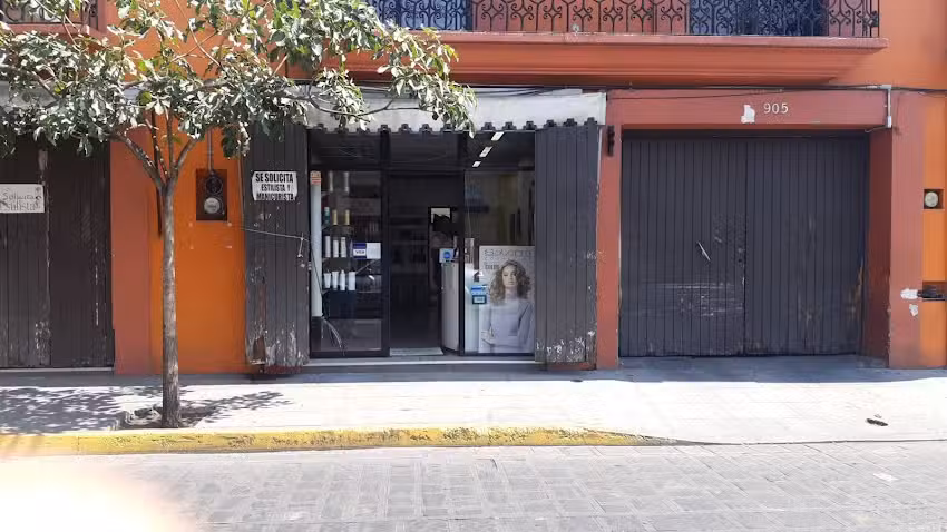 Est&eacute;tica Alex