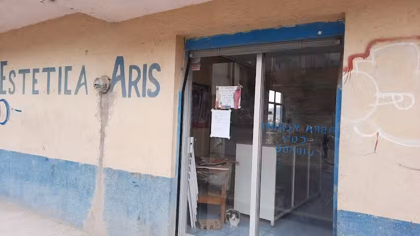 Estetica Aris