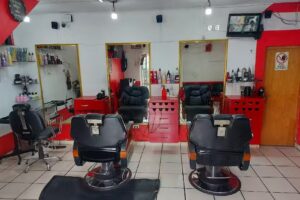 EST&Eacute;TICA BARBER GINA