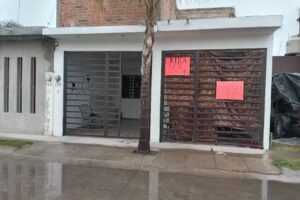 Est&eacute;tica BETA