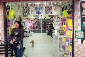 Est&eacute;tica betancurt