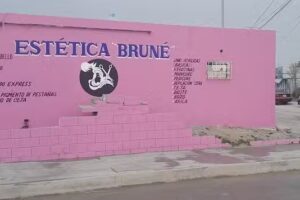 Est&eacute;tica Brun&eacute;