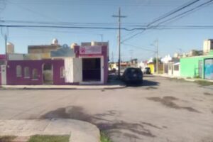 Est&eacute;tica Canina 3B