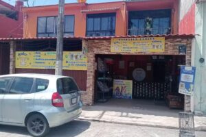 Est&eacute;tica Canina Ander