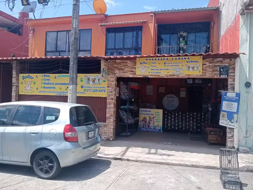 Est&eacute;tica Canina Ander