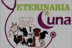 Est&eacute;tica Canina Benito Ju&aacute;rez