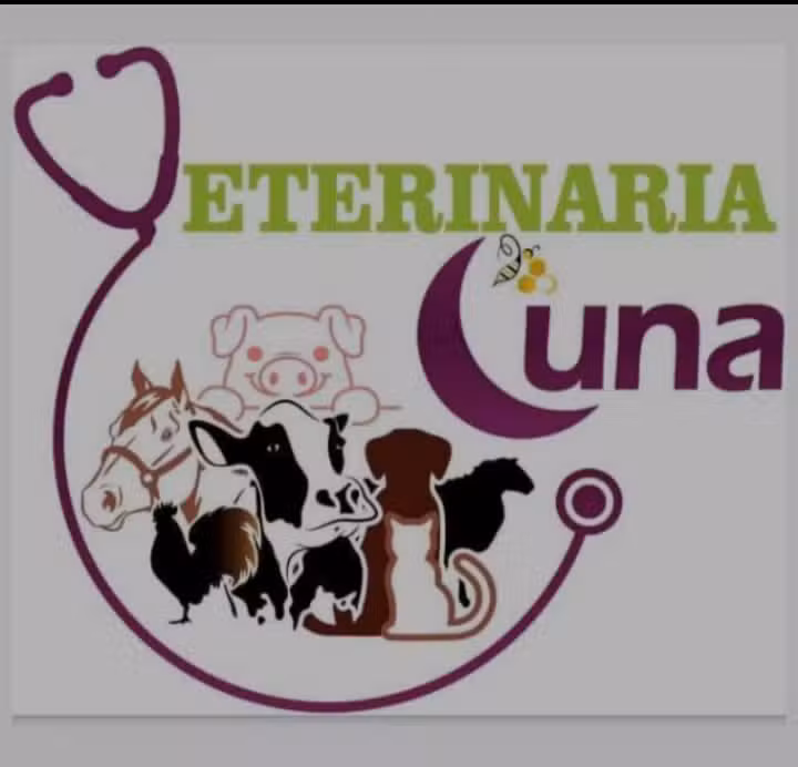 Est&eacute;tica Canina Benito Ju&aacute;rez