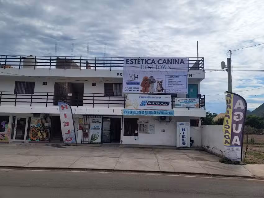 Est&eacute;tica canina Dog Town