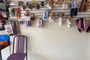 Estetica canina maggie pets