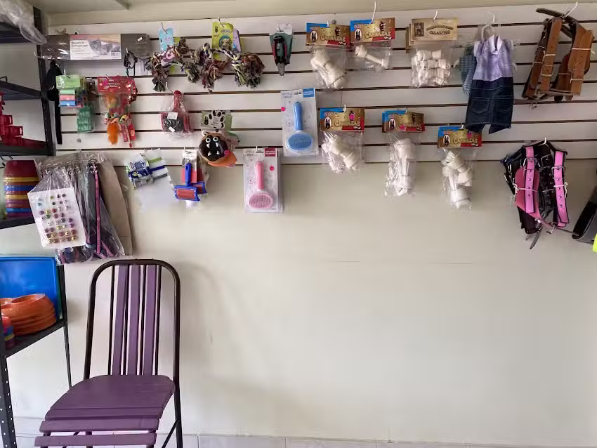 Estetica canina maggie pets