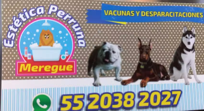 Estetica Canina Merengue