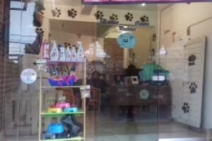 Est&eacute;tica canina pachitas