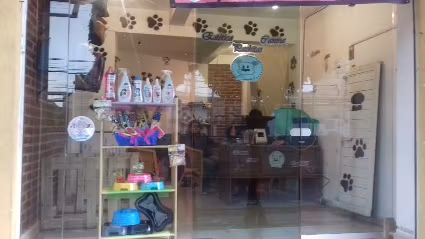 Est&eacute;tica canina pachitas