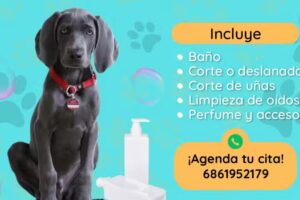 Est&eacute;tica Canina YEAD