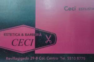 Estética Ceci (peluquería barbería)