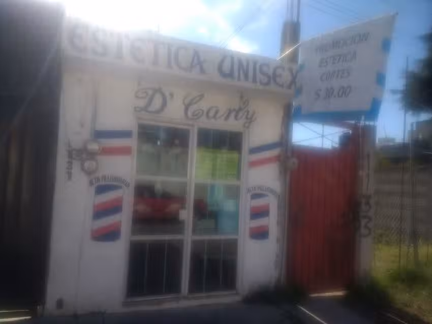 Est&eacute;tica D&rsquo; Carly