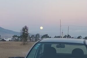 Estética D, Gutiérrez