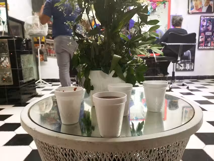 Est&eacute;tica D&rsquo; Ruben&rsquo;s