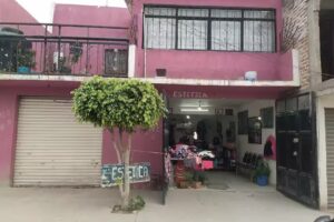 Est&eacute;tica de Aracely