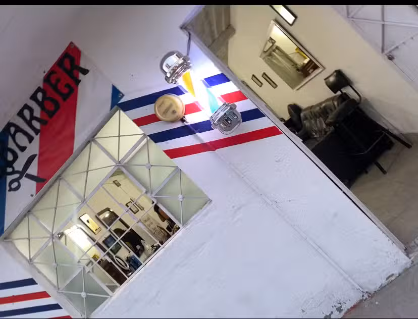 Est&eacute;tica &ldquo;de Pelos&rdquo;