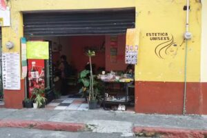 Est&eacute;tica ebenecer