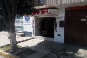 Est&eacute;tica flores