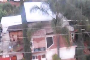 Est&eacute;tica GELY