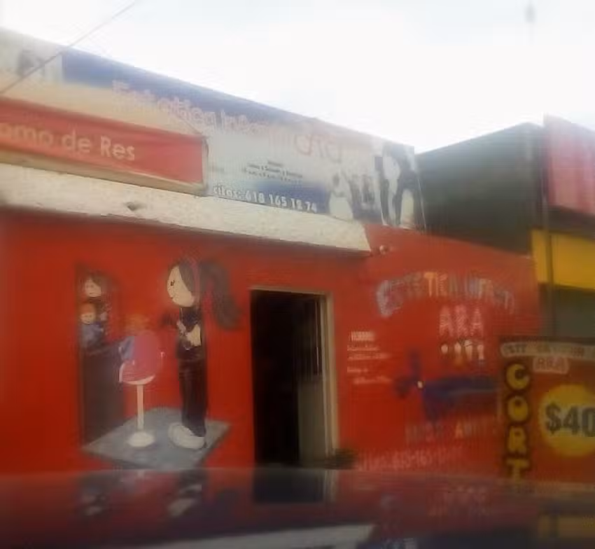 Est&eacute;tica Infantil Ara