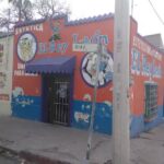 Estetica infantil el rey le&oacute;n