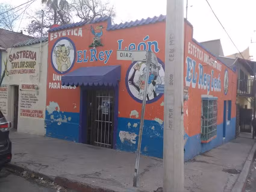 Estetica infantil el rey le&oacute;n
