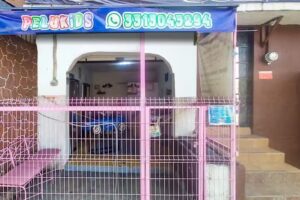 Est&eacute;tica Infantil &ndash; Pelukids