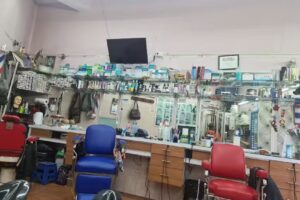 Estetica Insurgentes