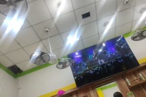 Est&eacute;tica Judith