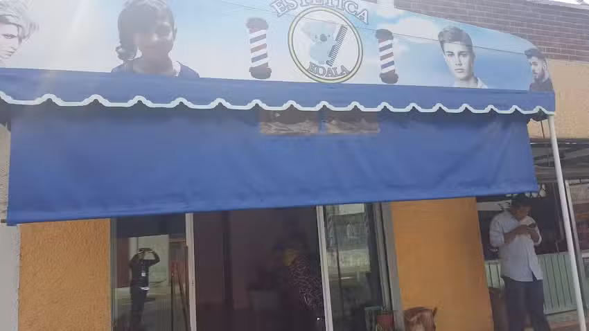 Est&eacute;tica koala