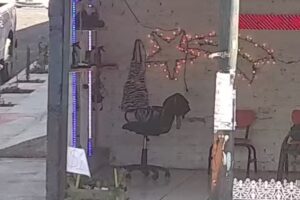 Est&eacute;tica Lul&uacute; V