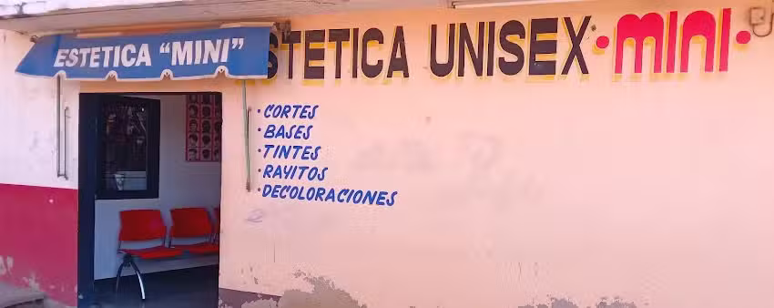 Est&eacute;tica mini