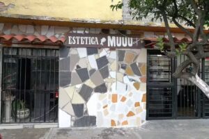 Est&eacute;tica Muuu