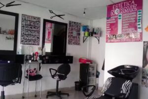 Est&eacute;tica Normiz